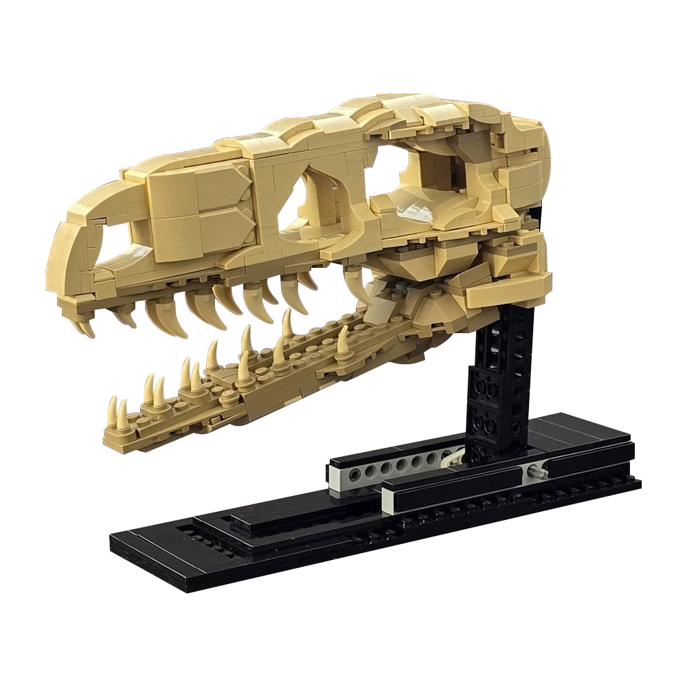 MOC Velociraptor Fossil Skull  - Fossil Replica Display ulasan dan harga
