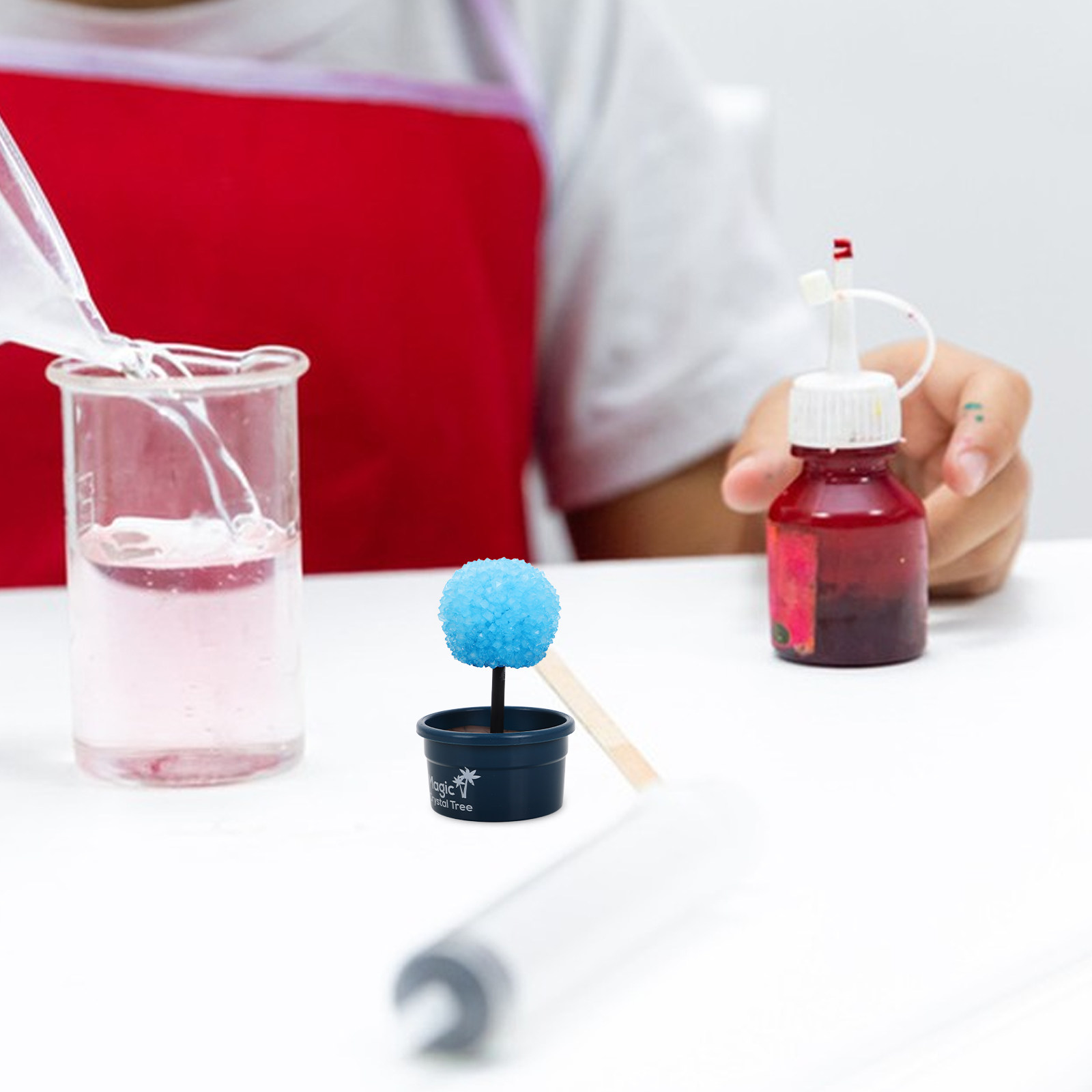 1Set Crystal DIY Science Kit F - Science Project ulasan dan harga