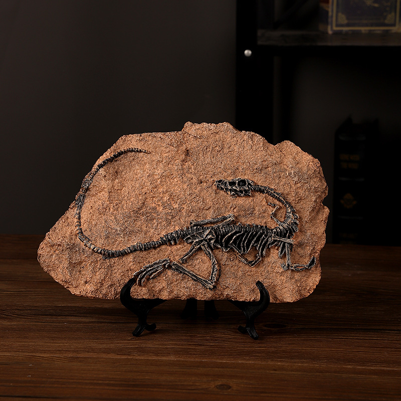 ‌Realistic Dinosaur Fossil Rep - Fossil Replica Display ulasan dan harga