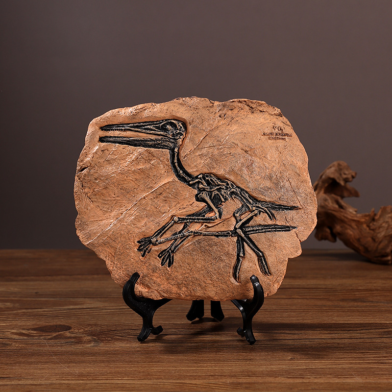 ‌Realistic Dinosaur Fossil Rep - Fossil Replica Display ulasan dan harga